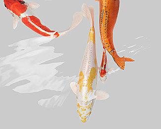 斯宾塞对《星空》有信心：将像《上古卷轴5》一样长寿